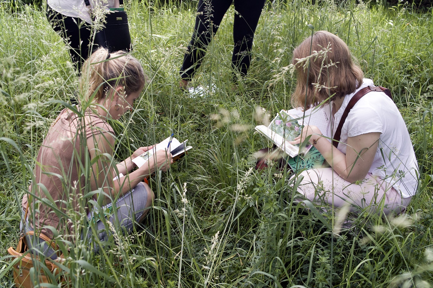 Prairie du Jardin des plantes © Audrey Muratet