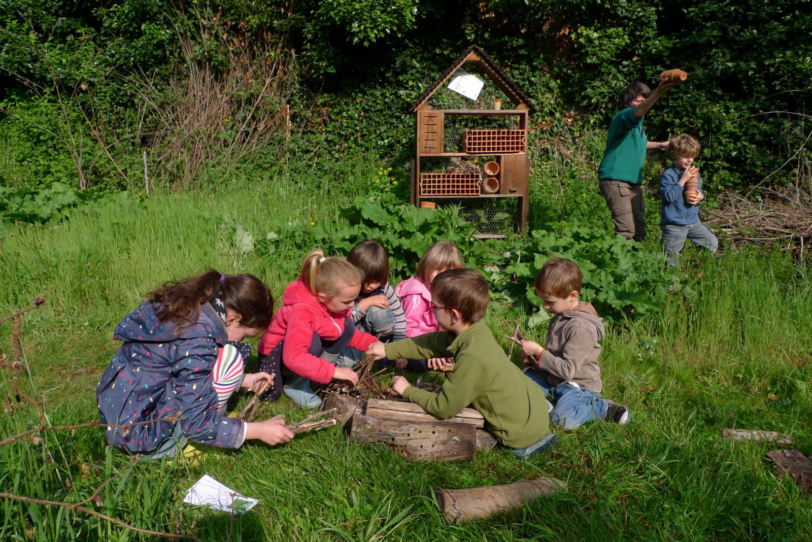 Classes découvertes - École de la nature