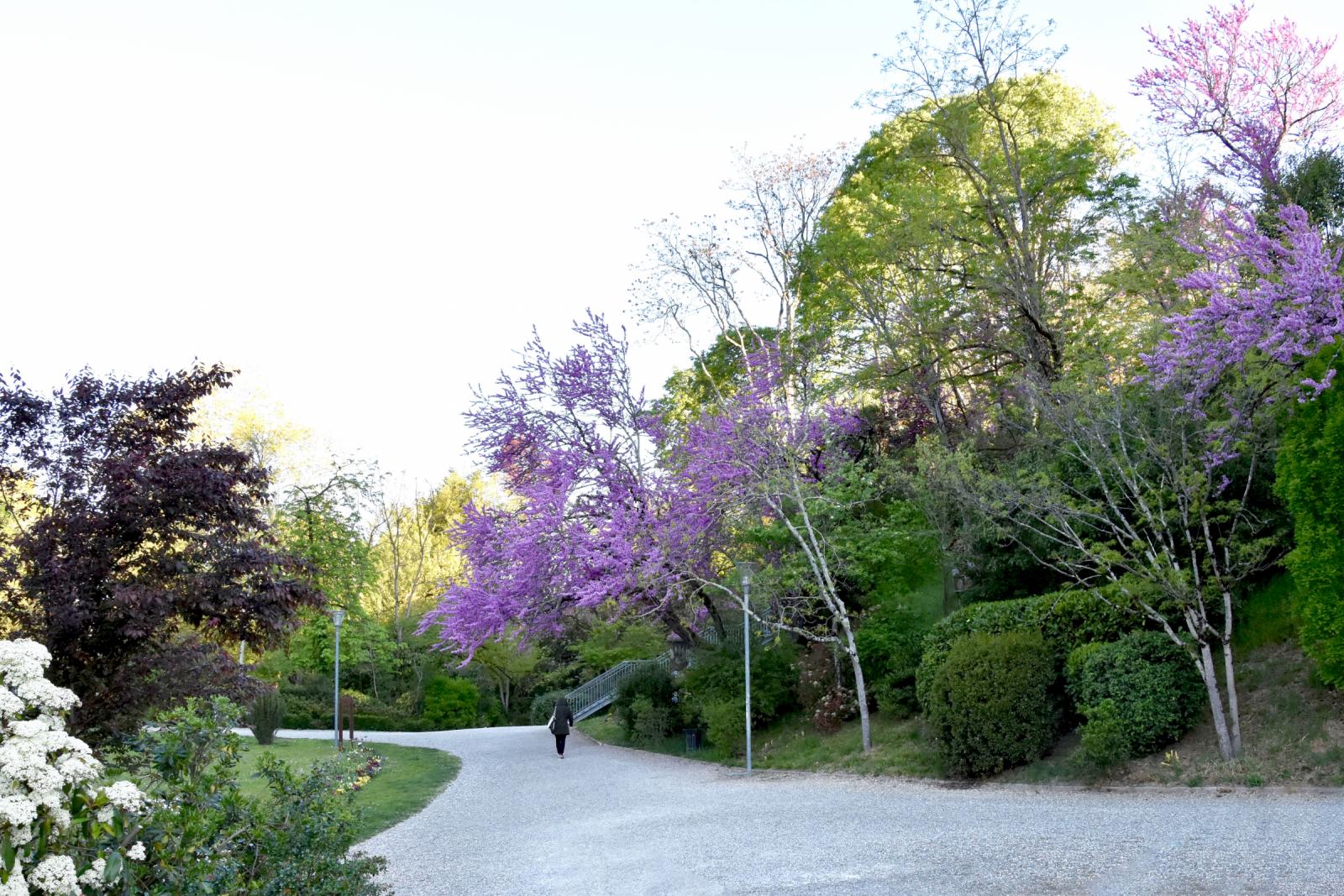 Les parcs et jardins - Ville de Montauban