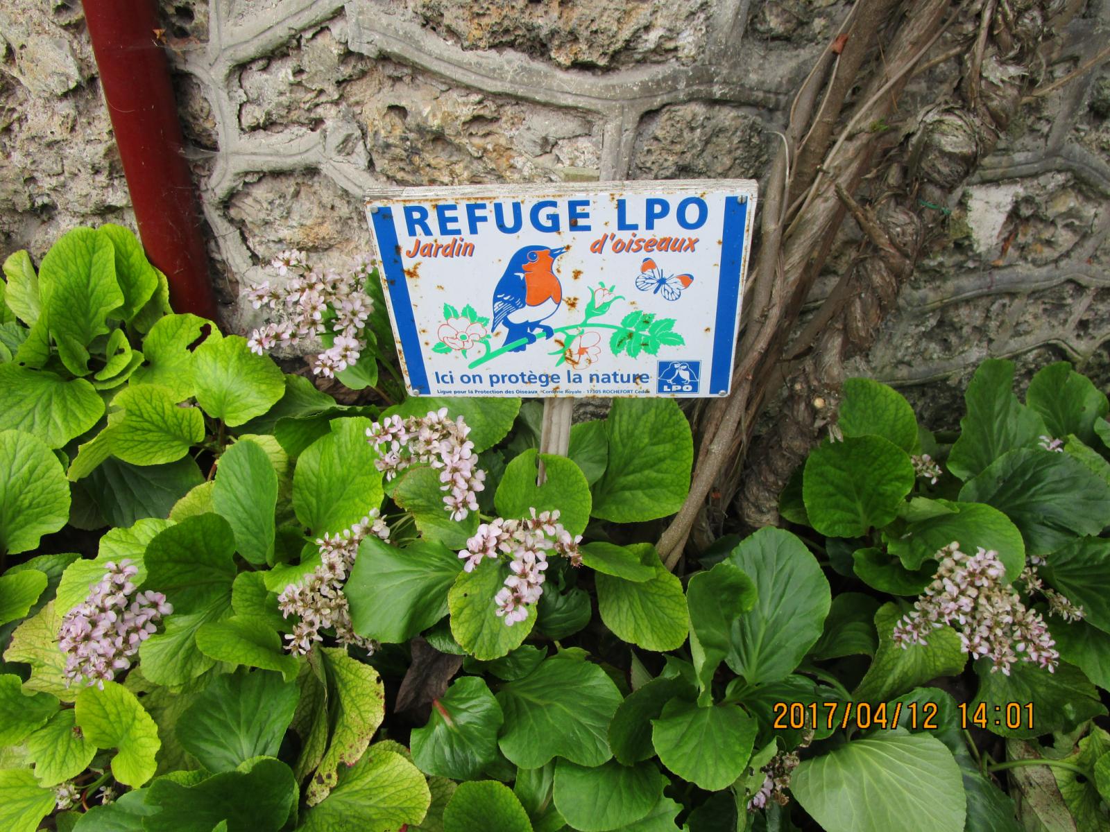 À quoi ça sert de devenir «refuge LPO» pour le Bois de Saint