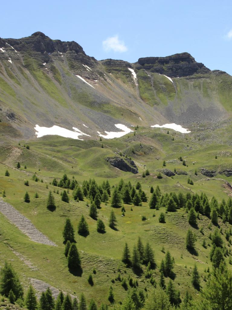 Combes à neige de l'alpage de Morgon