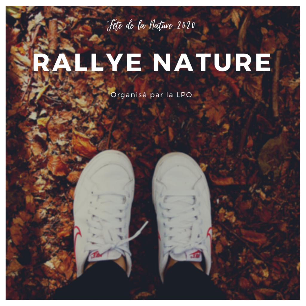 Rallye Nature