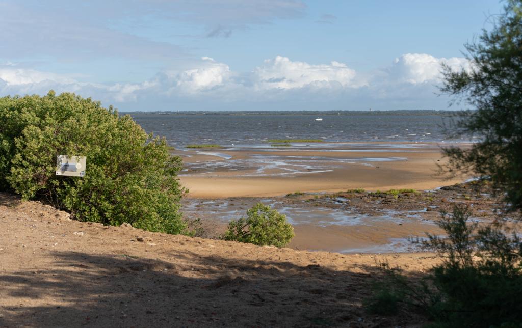 Sentier du littoral, Le Teich