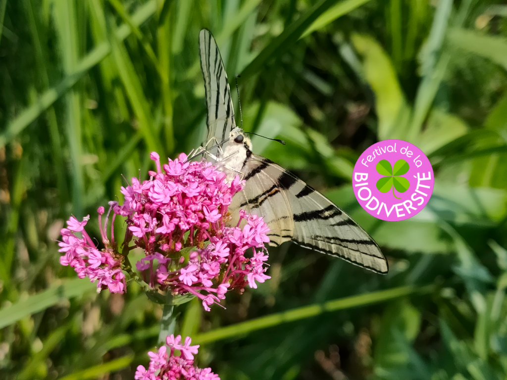 Festival de la biodiversité