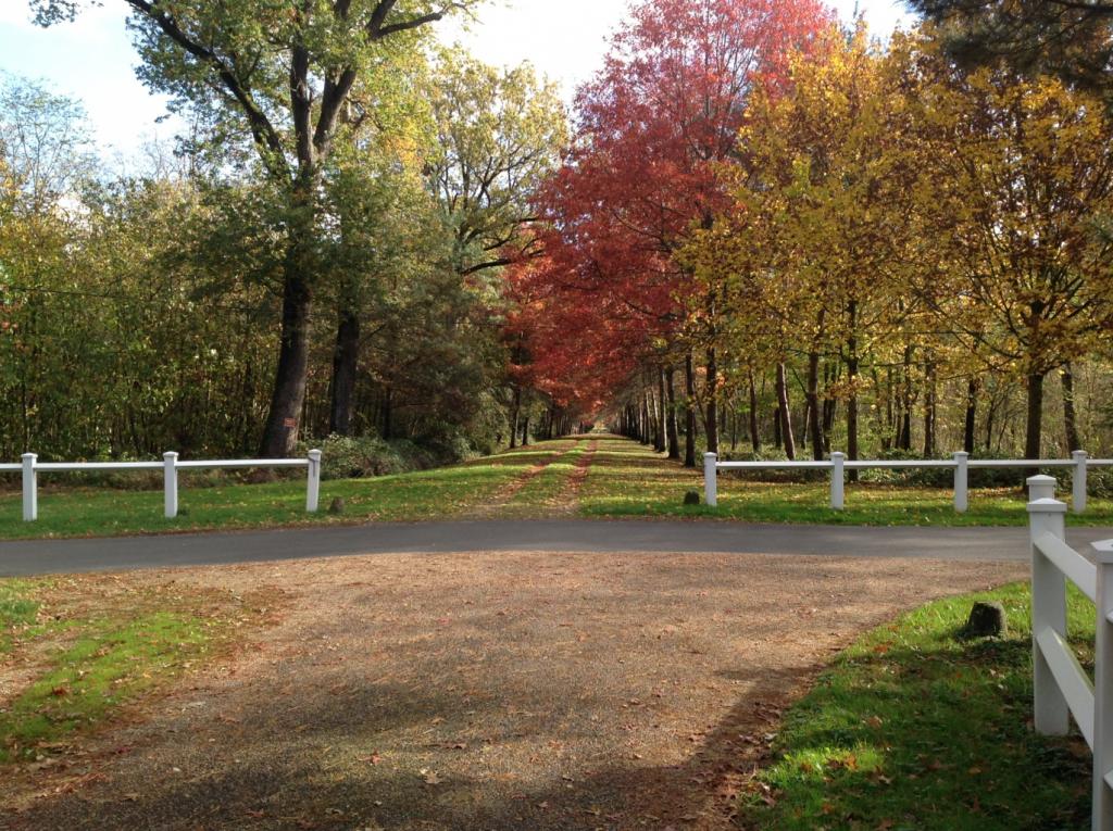 Parc du château du Martreil