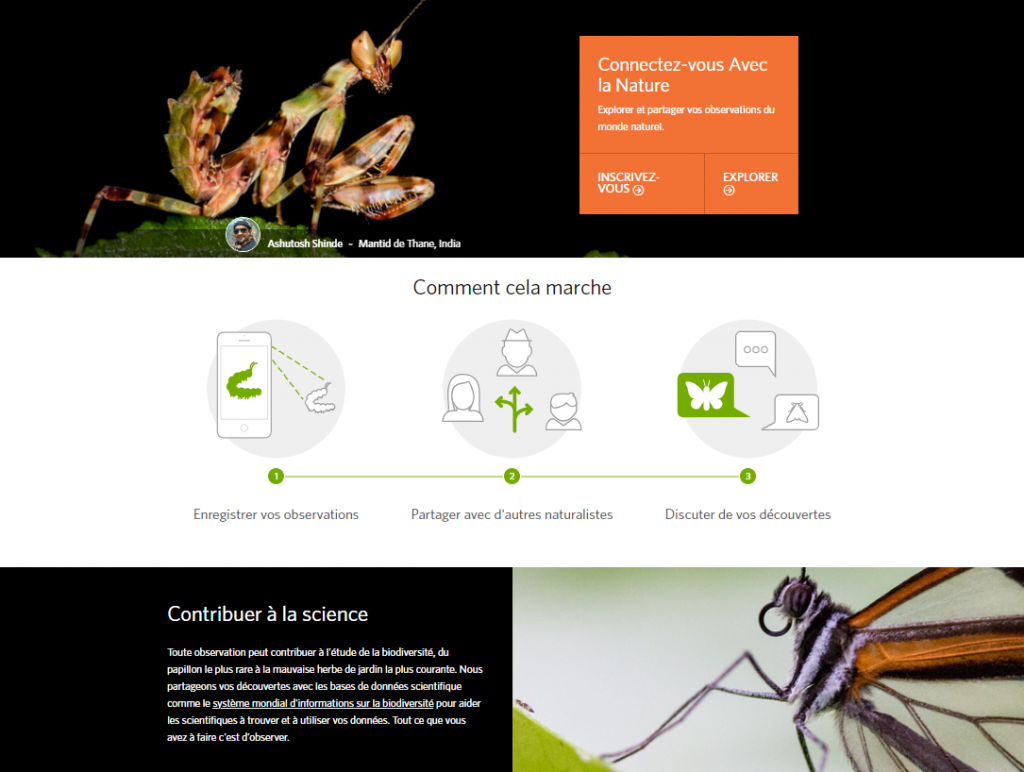 Plateforme base de données identification d'espèces iNaturalist