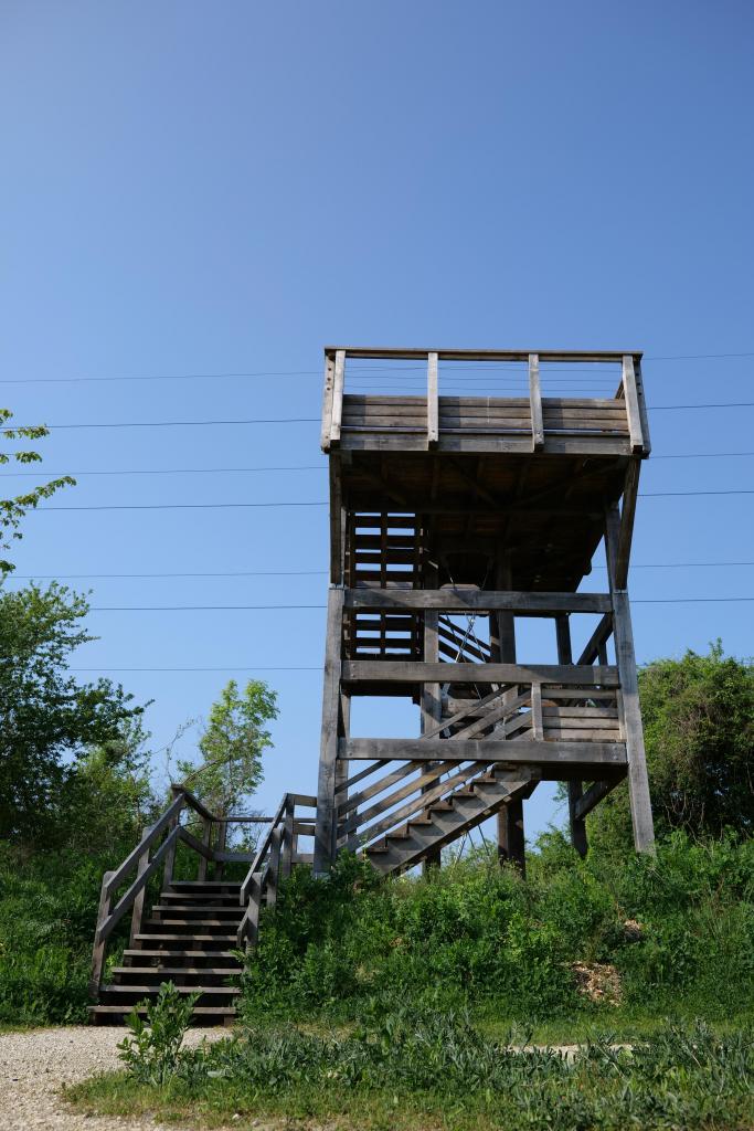 Vue d'en bas de la tour d'observation du parc Nature