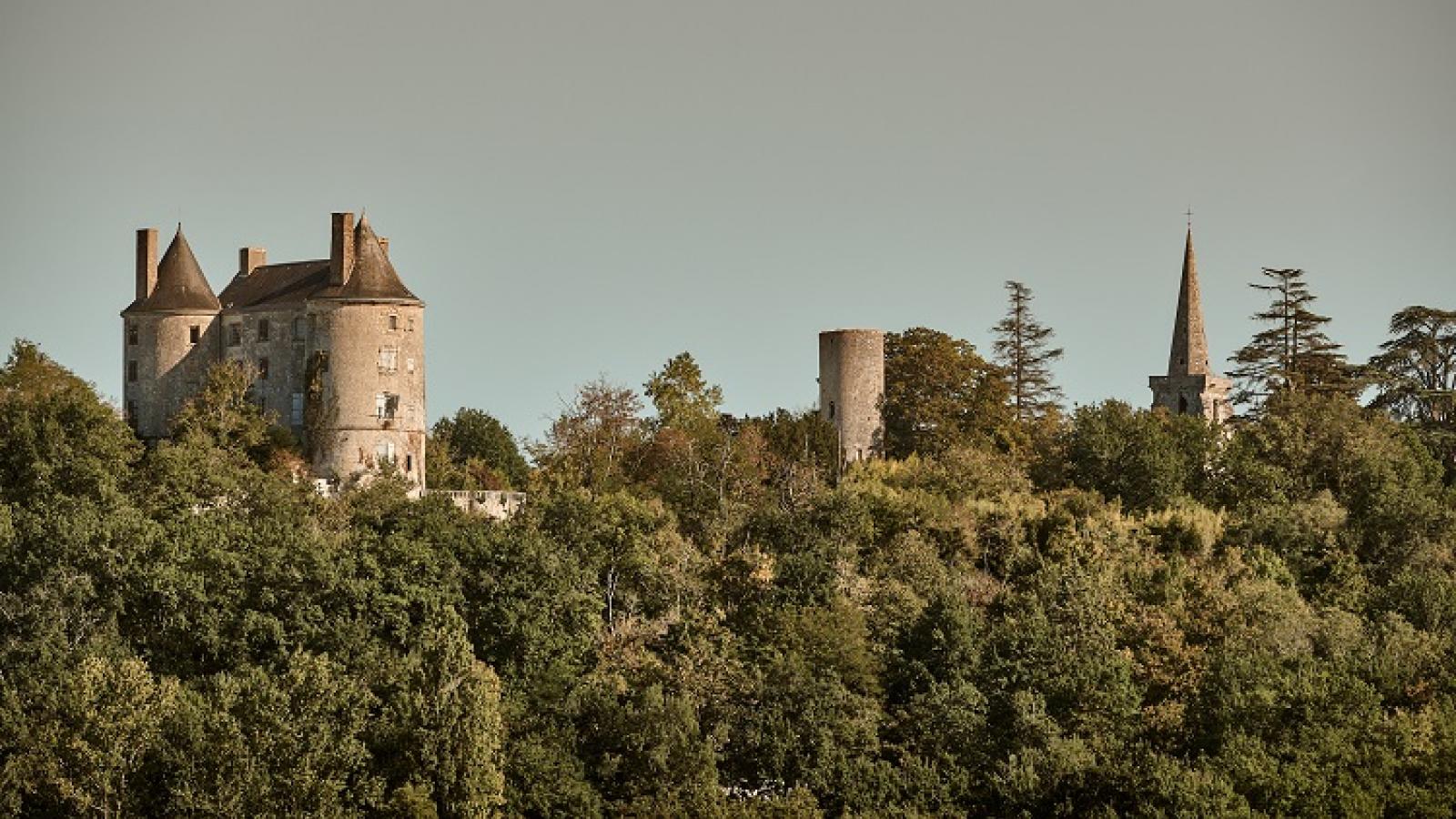 Visite guidée du parc du Château de Buzet | Fête de la Nature