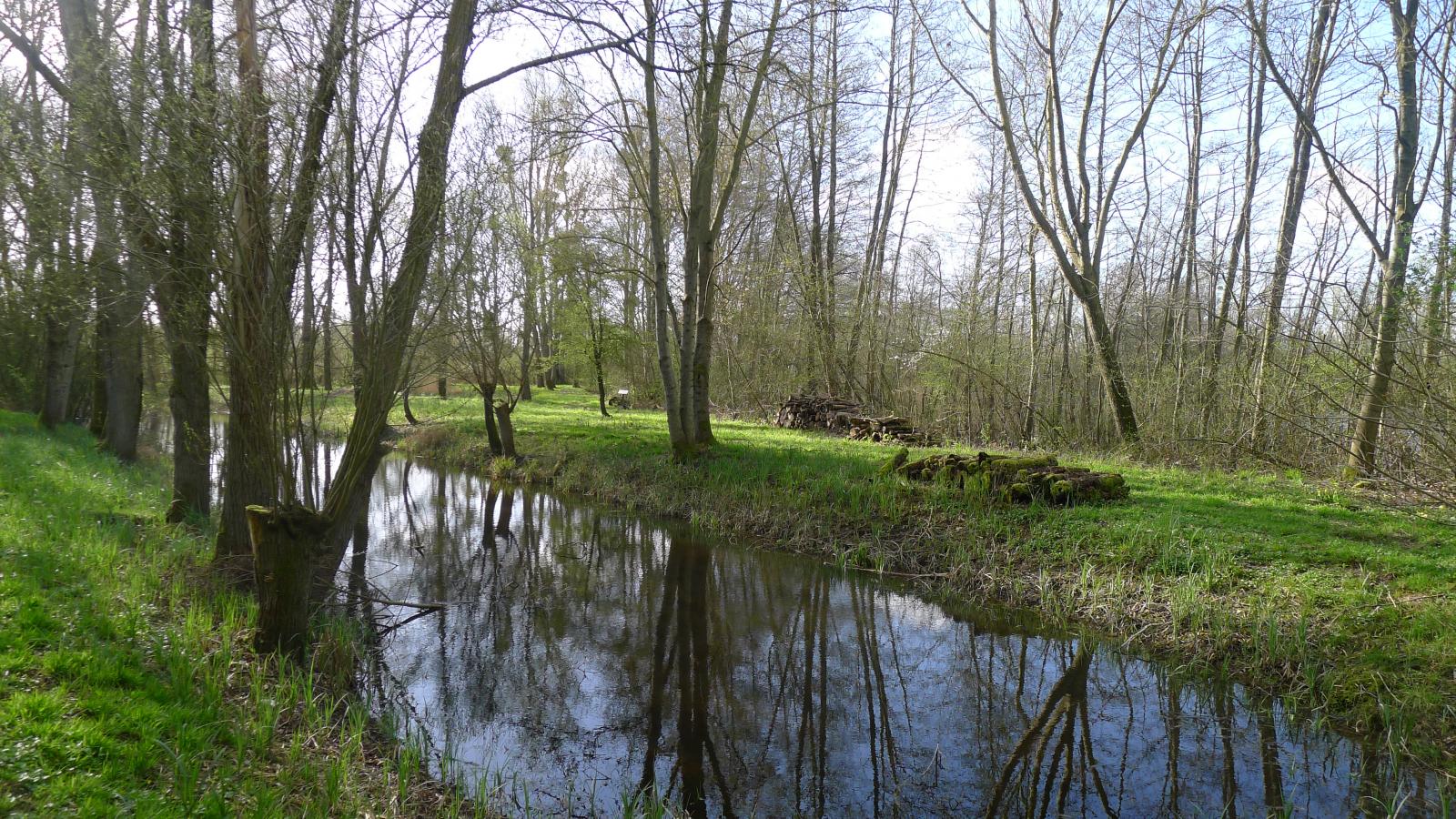 Balade dans la Réserve de la Prée Fête de la Nature