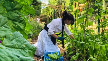 Des ateliers de jardinage gratuits en famille à la Ferme de Paris 