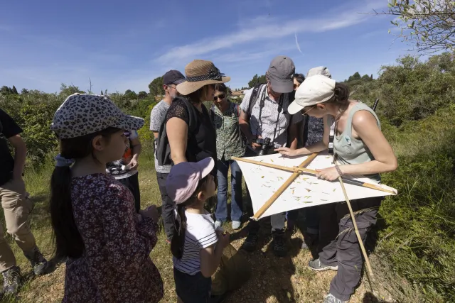 Fête de la Nature à Cournonterral 2025 © Nicolas Van Ingen