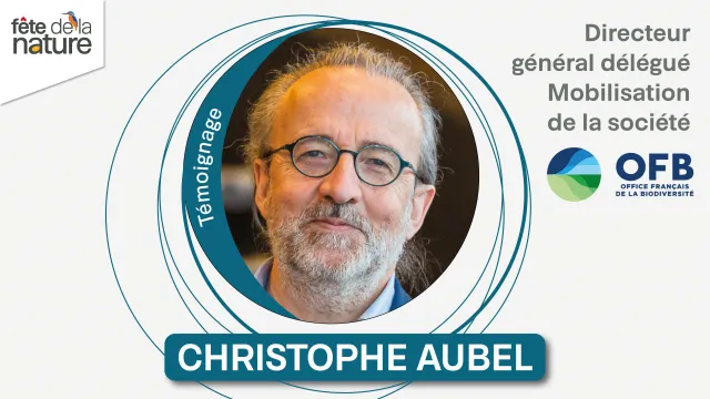 Christophe Aubel