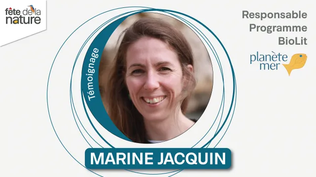 Marine Jacquin