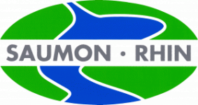 Saumon-Rhin