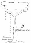 Association Ô près de mon arbre