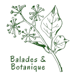 Balades & Botanique