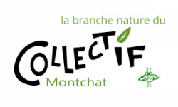 Collectif Montchat, branche nature