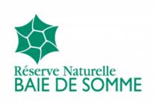 Réserve Naturelle Nationale Baie de Somme
