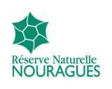Réserve naturelle des Nouragues