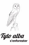 Tyto alba s'enforester