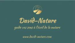David-Nature
