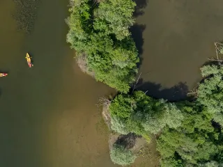 Balade ornithologique en canoé pendant la Fête de la nature au Lac de Maine à Angers (49)
