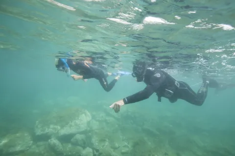 Deux personnes pratiquent la randonnée palmée, équipées de palmes, masque et tuba, observant les fonds marins en eau peu profonde.