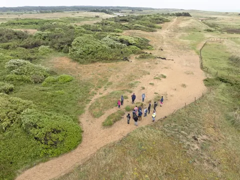 Balade guidée dans les dunes de la Gachère (85)