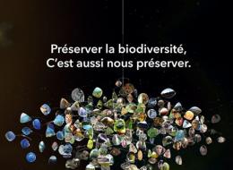 Préserver la biodiversité, c'est aussi nous préserver
