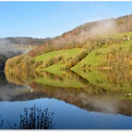 Faune et flore sur les rives du Doubs franco-suisse