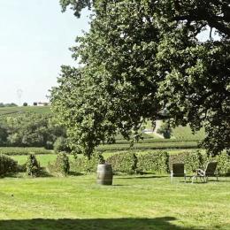 Landscape game autour des vignes !