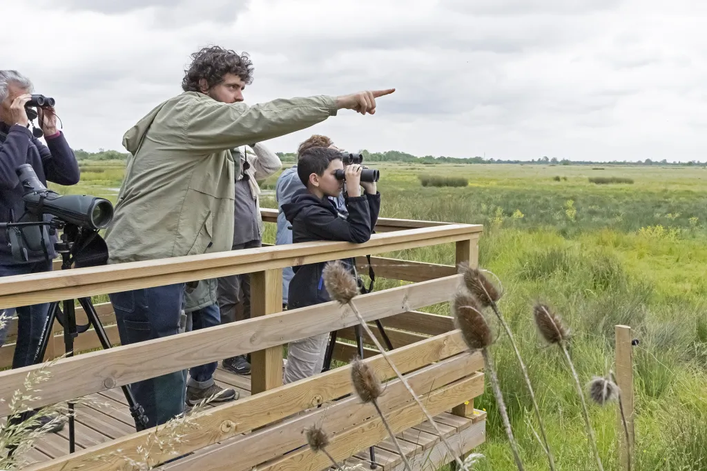 Saint-Denis-Du-Payre 2025 © Louis-Marie Préau