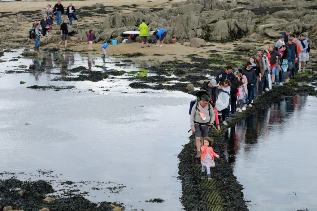 Fête de la Nature - sortie à Douarnenez © Guillaume Dambreville