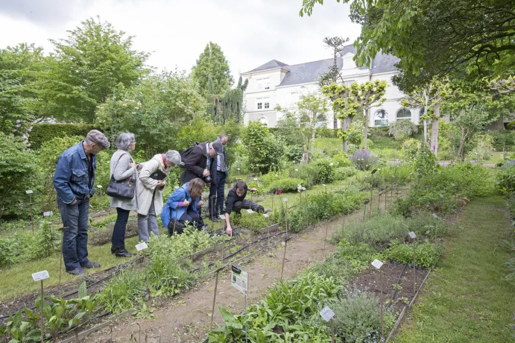 Visite du jardin botanique d'Angers organisée par la MGEN en 2017 © Louis-Marie Preau