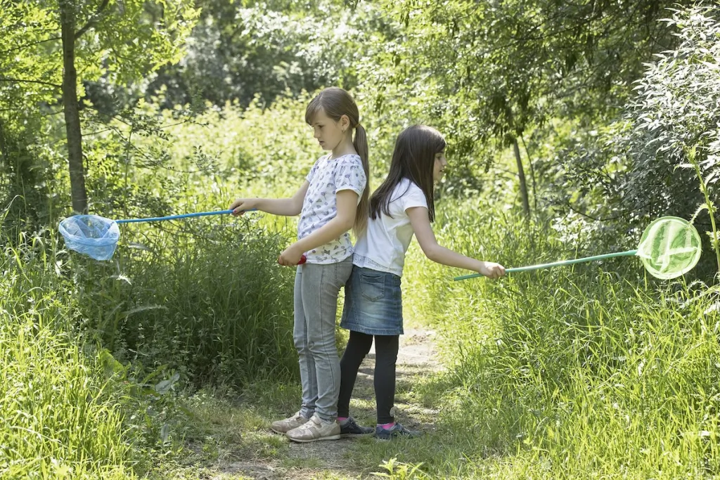 Pays d'Arles © Louis-Marie Préau