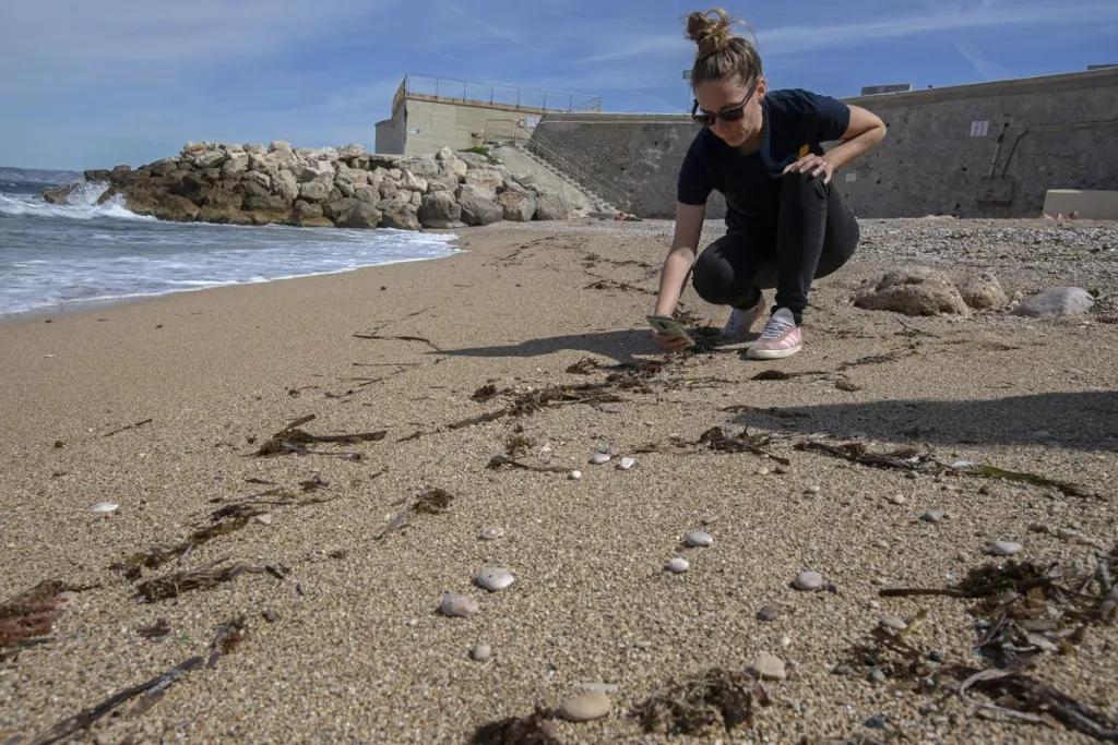 Marine Jacquin Planete mer Biolit
