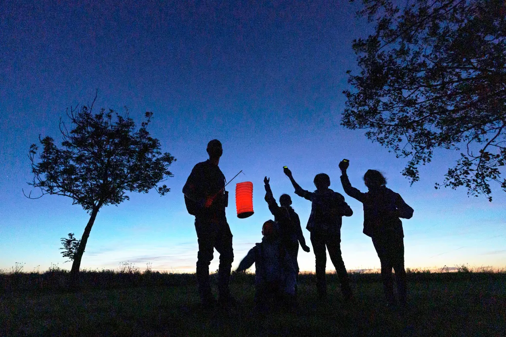 Silhouettes de plusieurs personnes observant la nature au crépuscule, debout dans un champ entre deux arbres. L’une d’elles tient une lanterne rouge et d’autres lèvent des détecteurs à ultrasons vers le ciel