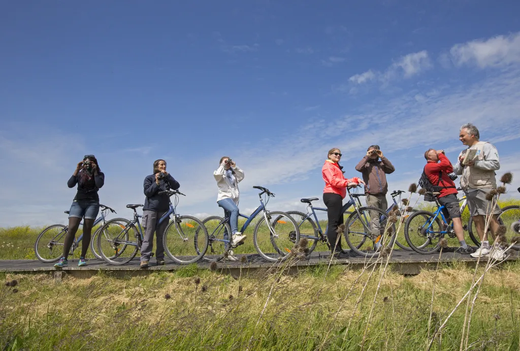 Un groupe d’adultes s’est arrêté lors d’une balade à vélo sur un chemin en pleine nature. Alignés avec leurs vélos, ils observent le paysage à l’aide de jumelles et d’appareils photo, sous un ciel bleu.