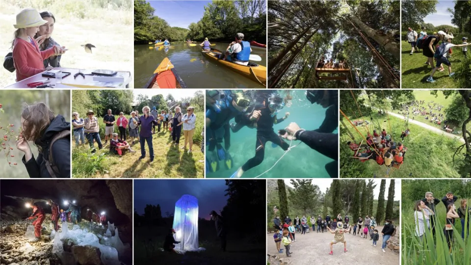 Une mosaïque de photos montrant la diversité des activités proposées lors de la Fête de la Nature